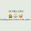 Dumb laws